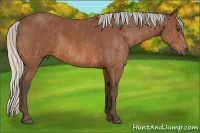 Horse Color:White Spotted Silver Bay Frame  Brindle