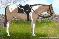 Horse Color:Classic Champagne Tobiano