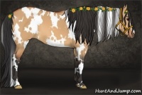 Horse Color:White Spotted Bay Dun