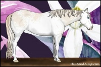Horse Color:White Spotted Perlino 