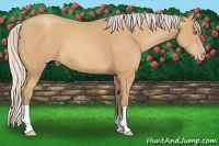 Horse Color:Silver Amber Champagne