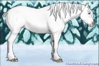 Horse Color:White Spotted Silver Blue Roan Splash Frame Appaloosa
