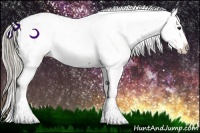 Horse Color:Chocolate Palomino Ice Appaloosa 
