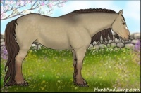 Horse Color:Liver Red Dun 