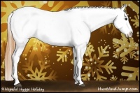 Horse Color:Buckskin Appaloosa 