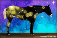 Horse Color:Amber Cream Champagne Dun Near Fewspot 