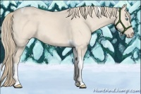Horse Color:Perlino Tobiano 