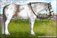 Horse Color:White Spotted Liver Chestnut Sabino 