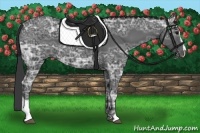 Horse Color:Black Ice Sabino