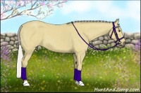 Horse Color:Silver Buckskin 