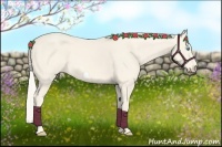 Horse Color:Cremello Frame