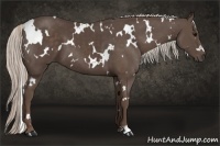 Horse Color:White Spotted Silver Black