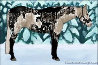 Horse Color:White Spotted Silver Grullo Splash Tobiano Frame  and White Spotted Silver Grullo Splash Tobiano Frame 