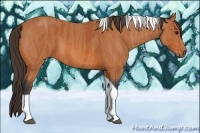 Horse Color:Bay Tobiano Brindle