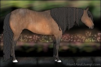 Horse Color:Buckskin  Brindle