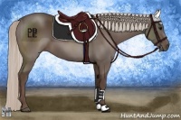 Horse Color:Silver Black 