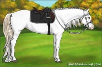 Horse Color:Chestnut Snowflake Varnish  Brindle
