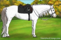 Horse Color:Liver Chestnut Snowflake Varnish 