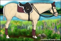 Horse Color:Gold Cream Champagne  Brindle