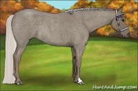 Horse Color:Silver Smoky Blue Roan Rabicano 