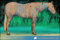 Horse Color:ERROR: UNKNOWN ANOMALY Brindle