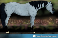 Horse Color:ERROR: UNKNOWN ANOMALY Brindle