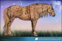 Horse Color:ERROR: UNKNOWN ANOMALY Brindle