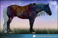 Horse Color:ERROR: UNKNOWN ANOMALY Brindle