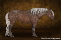 Horse Color:White Spotted Silver Bay Splash  Brindle