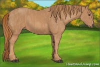Horse Color:Chestnut Brindle
