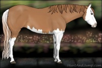 Horse Color:Chestnut Splash 