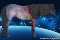 Horse Color:Black Rabicano 