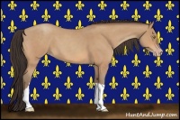 Horse Color:Amber Champagne Roan 