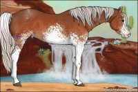 Horse Color:White Spotted Silver Brown Splash Rabicano