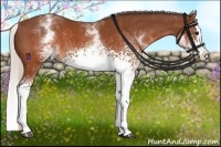 Horse Color:White Spotted Silver Brown Splash 