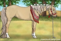 Horse Color:Palomino Dun 