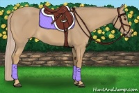 Horse Color:Palomino
