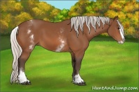 Horse Color:White Spotted Silver Bay Splash