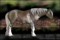 Horse Color:White Spotted Silver Brown Sabino