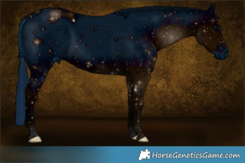 Horse Color:ERROR: UNKNOWN ANOMALY