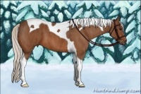 Horse Color:Silver Bay Tobiano Brindle
