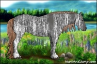 Horse Color:Liver Chestnut Ice 