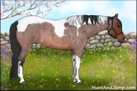 Horse Color:Bay Roan Tobiano
