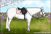 Horse Color:Palomino Appaloosa 