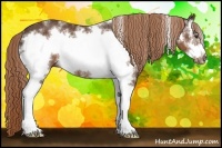 Horse Color:White Spotted Liver Chestnut Frame Rabicano