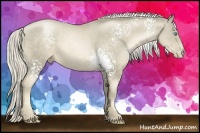 Horse Color:White Spotted Chocolate Palomino Pearl Rabicano