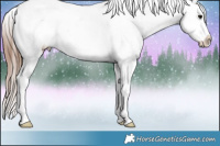 Horse Color:White Spotted Brown Snowcap Rabicano