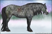 Horse Color:Black Ice Rabicano
