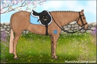 Horse Color:Chestnut  Brindle