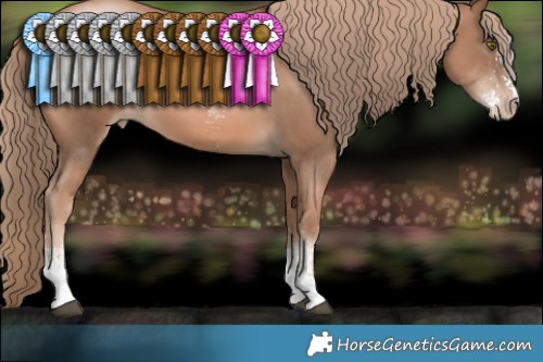 Horse Color:Liver Chestnut Pearl Sabino  Brindle